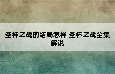 圣杯之战的结局怎样 圣杯之战全集解说